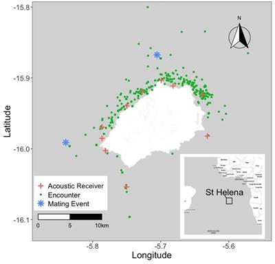 St. Helena: An Important Reproductive Habitat for Whale Sharks (Rhincodon typus) in the Central South Atlantic